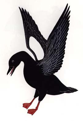 Pitsiulak (Sea Pigeon)