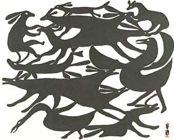 A Vision of Animals