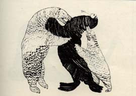 Bear Attacking Walrus