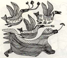Birds of Summer