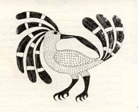 Wonderful Bird