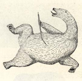 Injured Bear