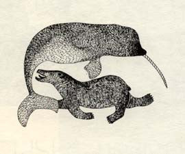 Bear and Narwahl