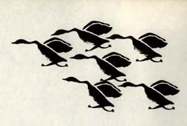 Geese Leaving