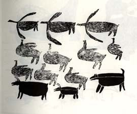 Birds and Animals