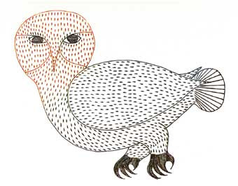 Bright Owl