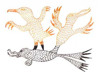 Carrier Bird