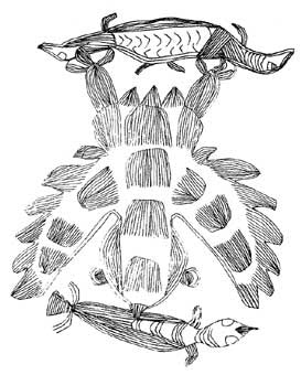 Bird and Sea Beasts