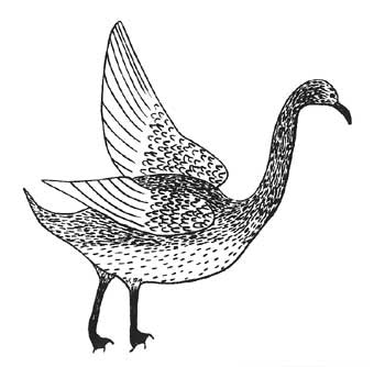 Goose