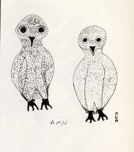 Young Owls