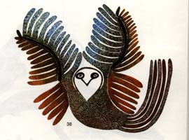 Evening Owl