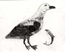 Gull with Char