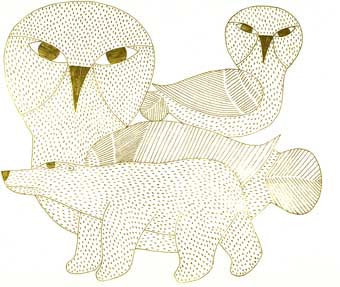 Bears and Owls