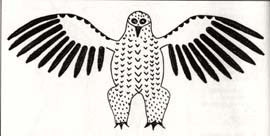 Young Owl