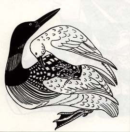 Legend of Loon and Raven
