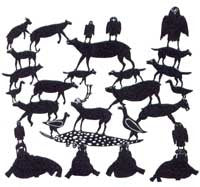 Animals of Novoojuak