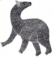 Young Bear