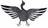 Young Goose