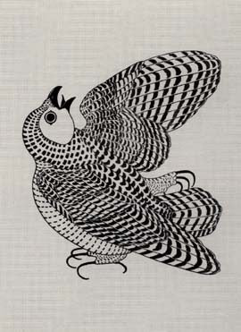 Young Arctic Owl