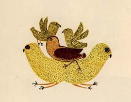 Young Birds