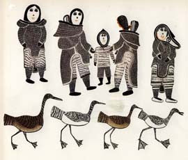 A Parade of Birds