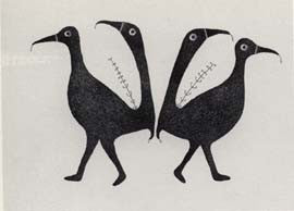 Birds