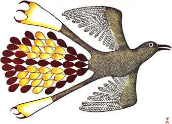 Bird in a Summer Sky