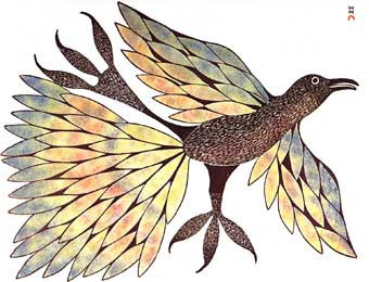 Bird of the Summer Land
