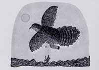 Bird Escapes My Stone