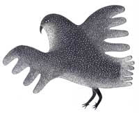 Strutting Falcon