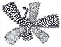 Many Winged Bird