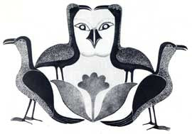 Ravens Shield the Owl