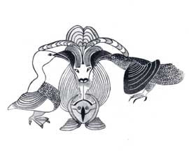 Animals Converge