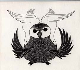 birds encompass owl