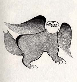 Courting  Owl