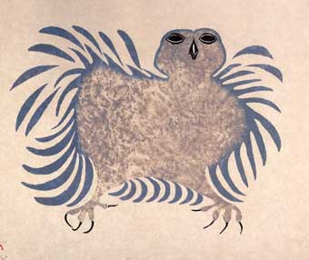 Moulting Owl