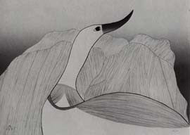 Bird of early dawn