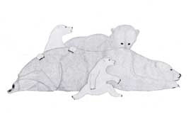 Nanuit (Bears)