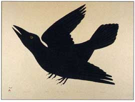 Young Raven