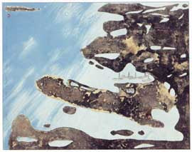 Walrus Hunters Gather on Akulliq