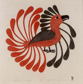 Aoujalik (Moulting Bird)