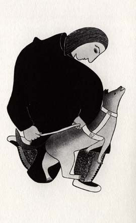 man harnessing dog