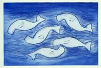 Many Whales