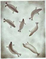 Playing Seals