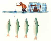 Fishing in Winter