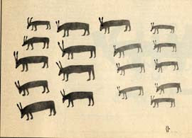 Many Rabbits