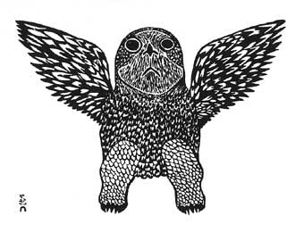 Young Owl
