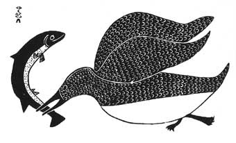 Bird and Fish