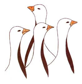 Geese