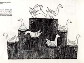 Seagulls Nesting on a Cliff